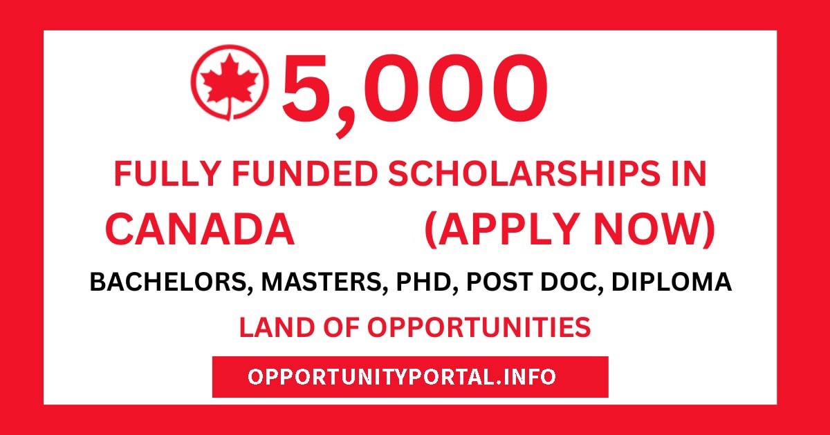 The Biggest List Of Canada Scholarships For International Students 2024 