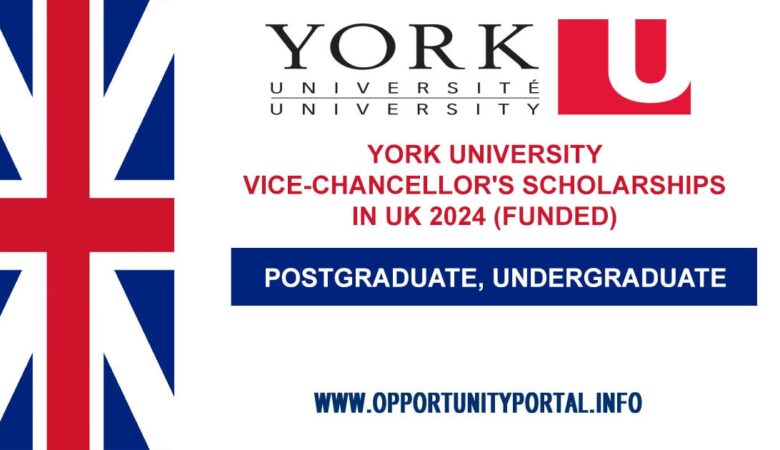 York University Vice-Chancellor's Scholarships In UK 2024 (Funded)