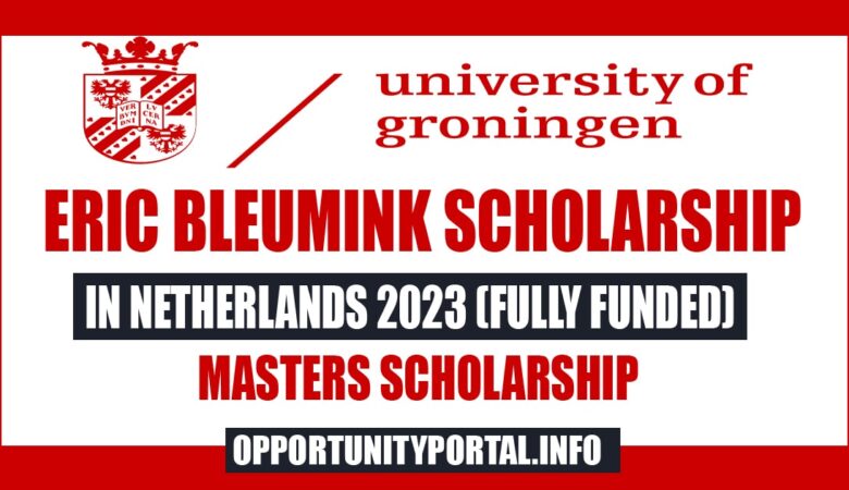 Groningen University Eric Bleumink Scholarship In Netherlands 2023 (Fully Funded)