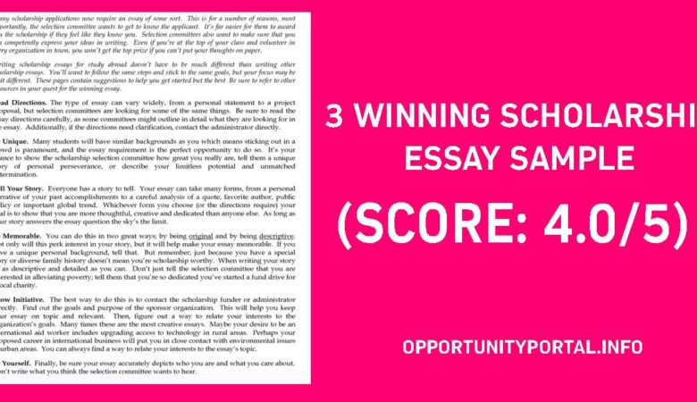 3 Winning Scholarship Essay Sample (Score 4.05)