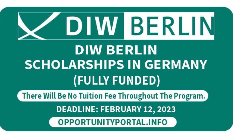 DIW Berlin Scholarships In Germany 2024 (Fully Funded)