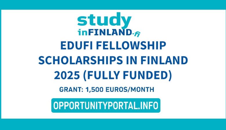 EDUFI Fellowship Scholarships In Finland 2025 (Fully Funded)