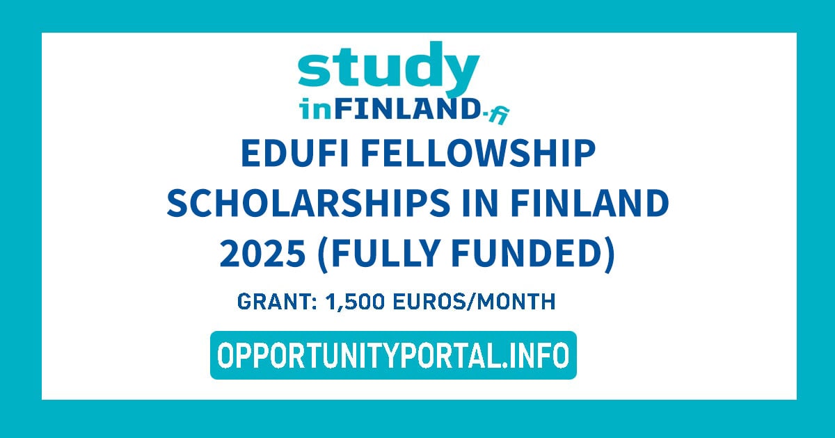 EDUFI Fellowship Scholarships In Finland 2025 (Fully Funded