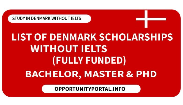 List of Denmark Scholarships Without IELTS (Fully Funded)