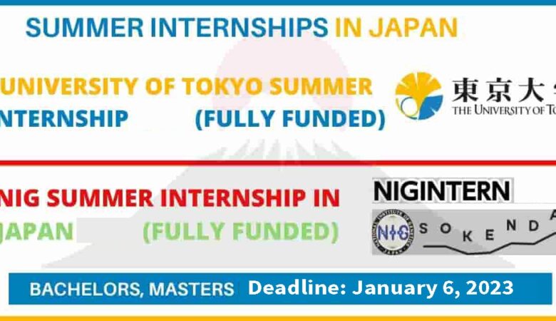 NIG Summer Internship in Japan 2023 Fully Funded - NIGINTERN 2023