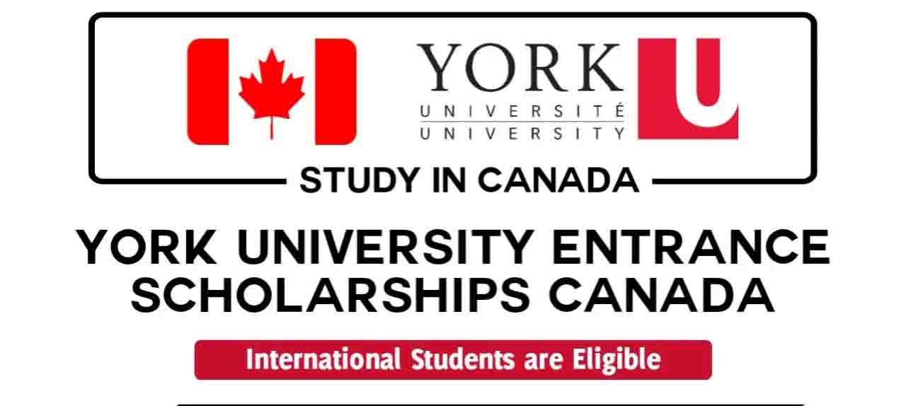 York University International Scholarship In Canada 2025 (Funded) Opportunity Portal