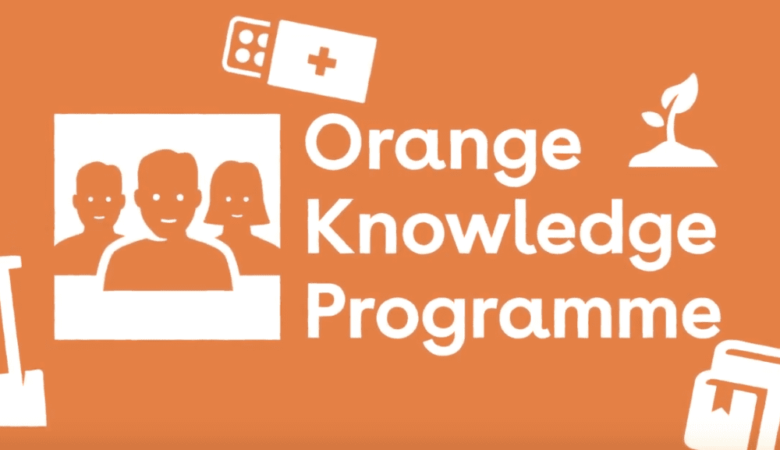 Orange Knowledge Programme In Netherlands 2024 (Fully Funded)