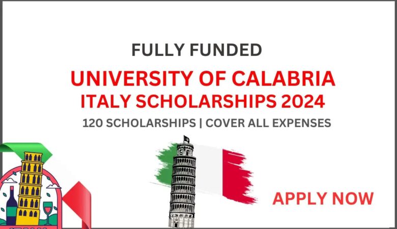 University Of Calabria Scholarships in Italy 2025 (Funded)