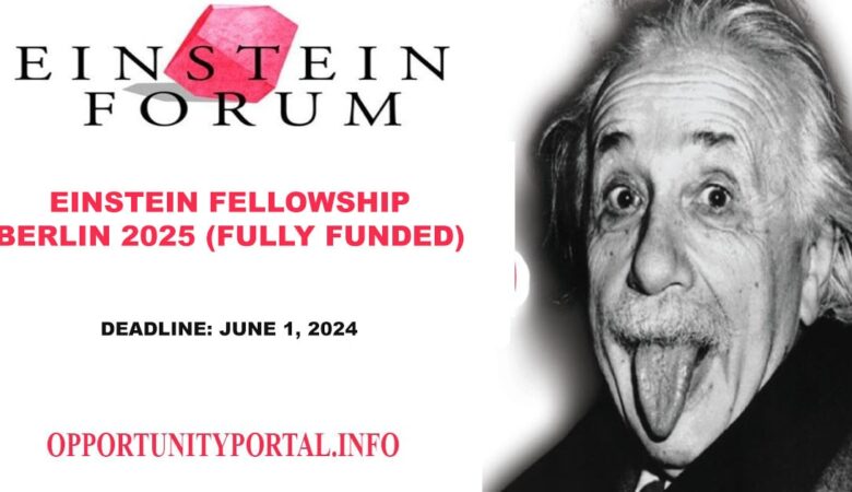 Einstein Fellowship Berlin 2025 (Fully Funded)