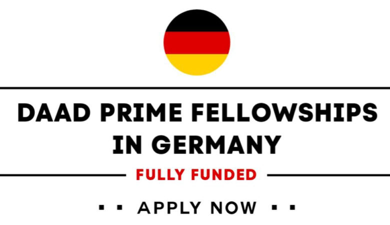 DAAD PRIME Scholarships In Germany 2026 (Fully Funded)