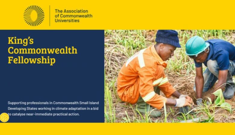 UK King’s Commonwealth Fellowship Program 2026 (Fully Funded)